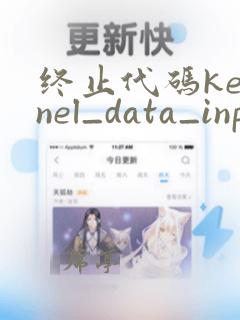 终止代码kernel_data_inpage_error