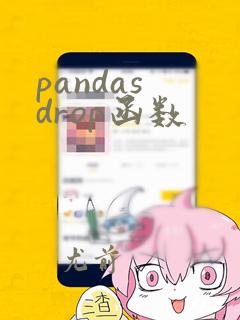 pandas drop函数