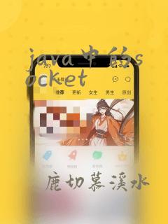 java中的socket