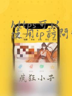 https可以使用ip访问吗