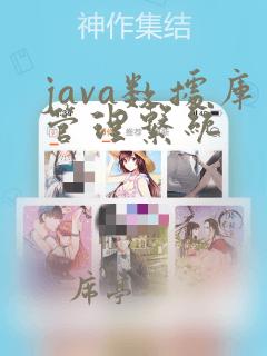 java数据库管理系统