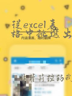 从excel表格中挑选出一类数据