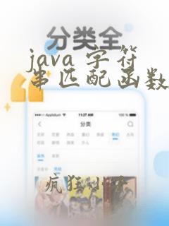 java 字符串匹配函数