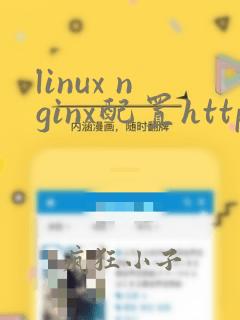 linux nginx配置https代理