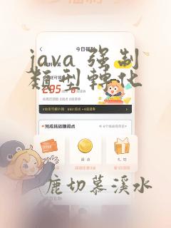 java 强制类型转化