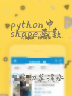 python中shape函数