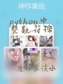 python中整数符号