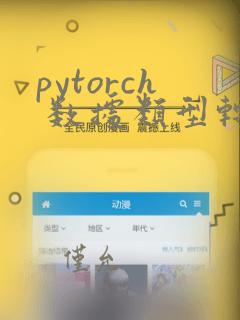 pytorch 数据类型转换