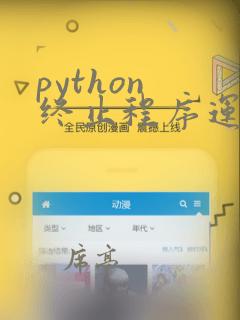 python 终止程序运行