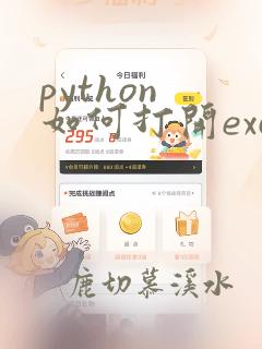 python 如何打开excel