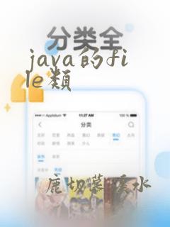java的file类