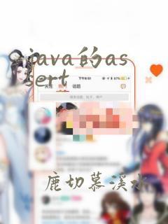 java的assert