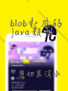 blob对应的java类型