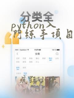 python入门练手项目