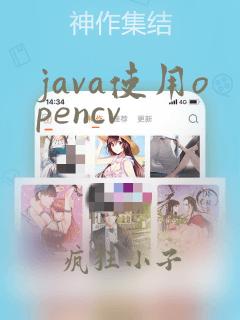 java使用opencv