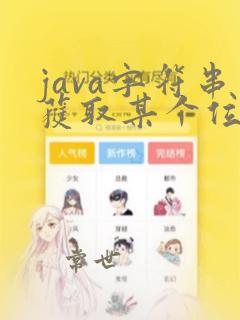 java字符串获取某个位置的字符