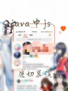 java中js