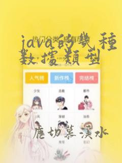 java的几种数据类型