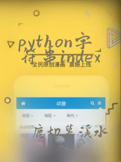 python字符串index