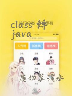 class 转java