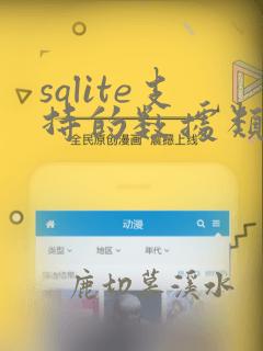 sqlite支持的数据类型