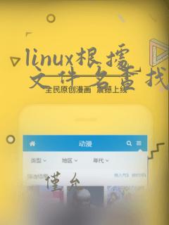 linux根据文件名查找文件命令