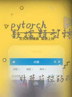 pytorch数据类型转换