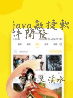 java敏捷软件开发