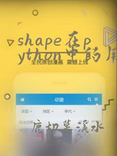 shape在python中的用法