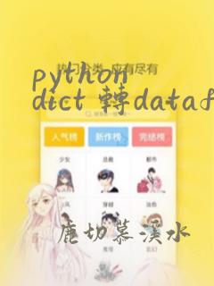 python dict 转dataframe