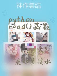 python read()函数