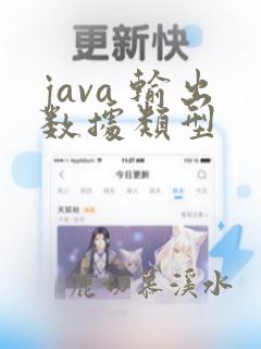 java 输出数据类型