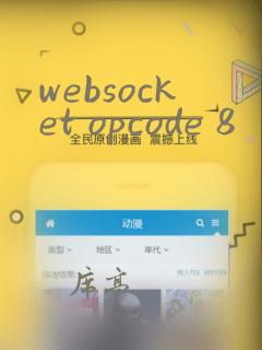 websocket opcode 8