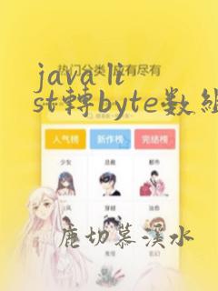 java list转byte数组