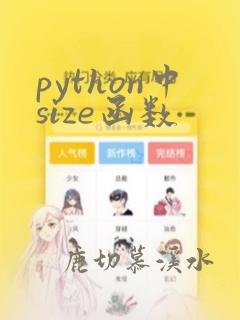 python中size函数