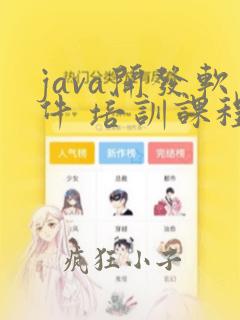java开发软件 培训课程
