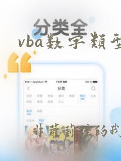 vba数字类型