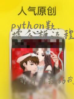 python数据分析流程图