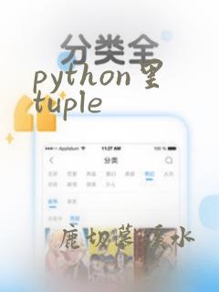 python里tuple