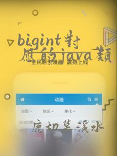 bigint对应的java类型