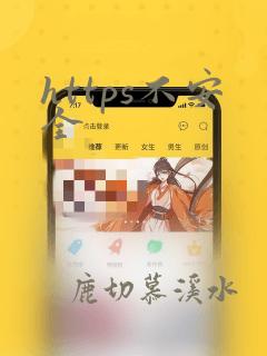 https不安全