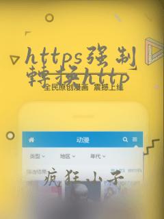 https强制转换http
