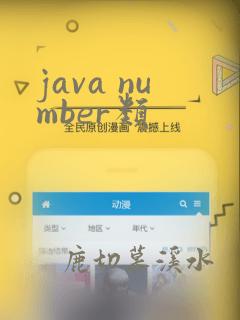 java number类