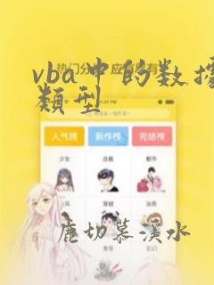 vba中的数据类型