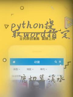python提取word指定内容到excel