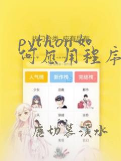 python如何应用程序