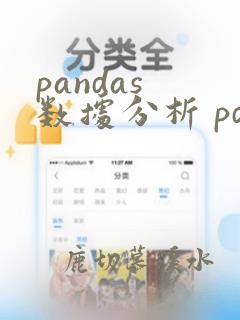 pandas 数据分析 pdf