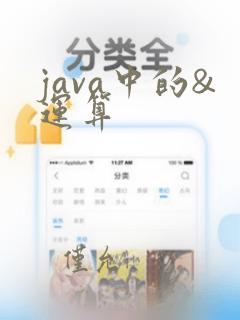 java中的&运算