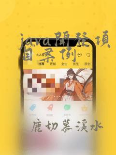 java开发项目案例