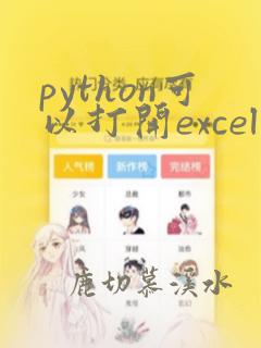 python可以打开excel吗